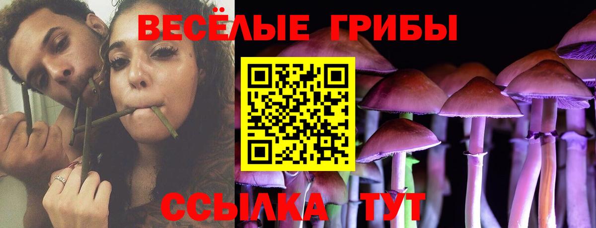 как найти закладки  Псилоцибиновые грибы Magic Shrooms  Елабуга  Вход с VPN  Псилоцибиновые грибы ЛСД 
